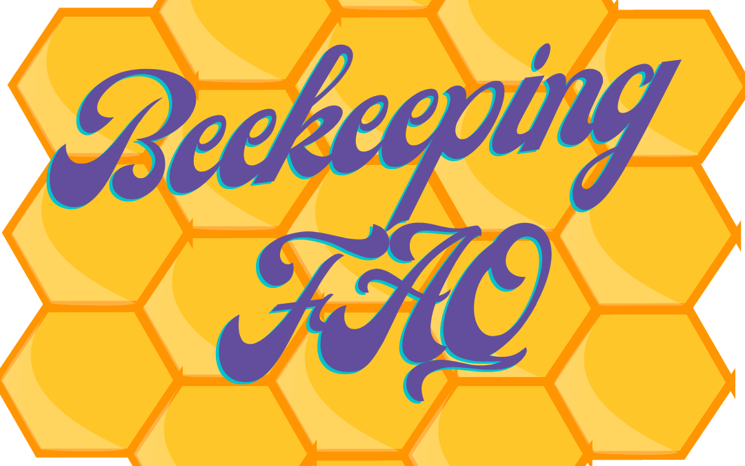 Beekeeping FAQ banner with a golden honeycomb background.