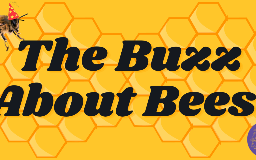 The Buzz About Bees presentation banner.