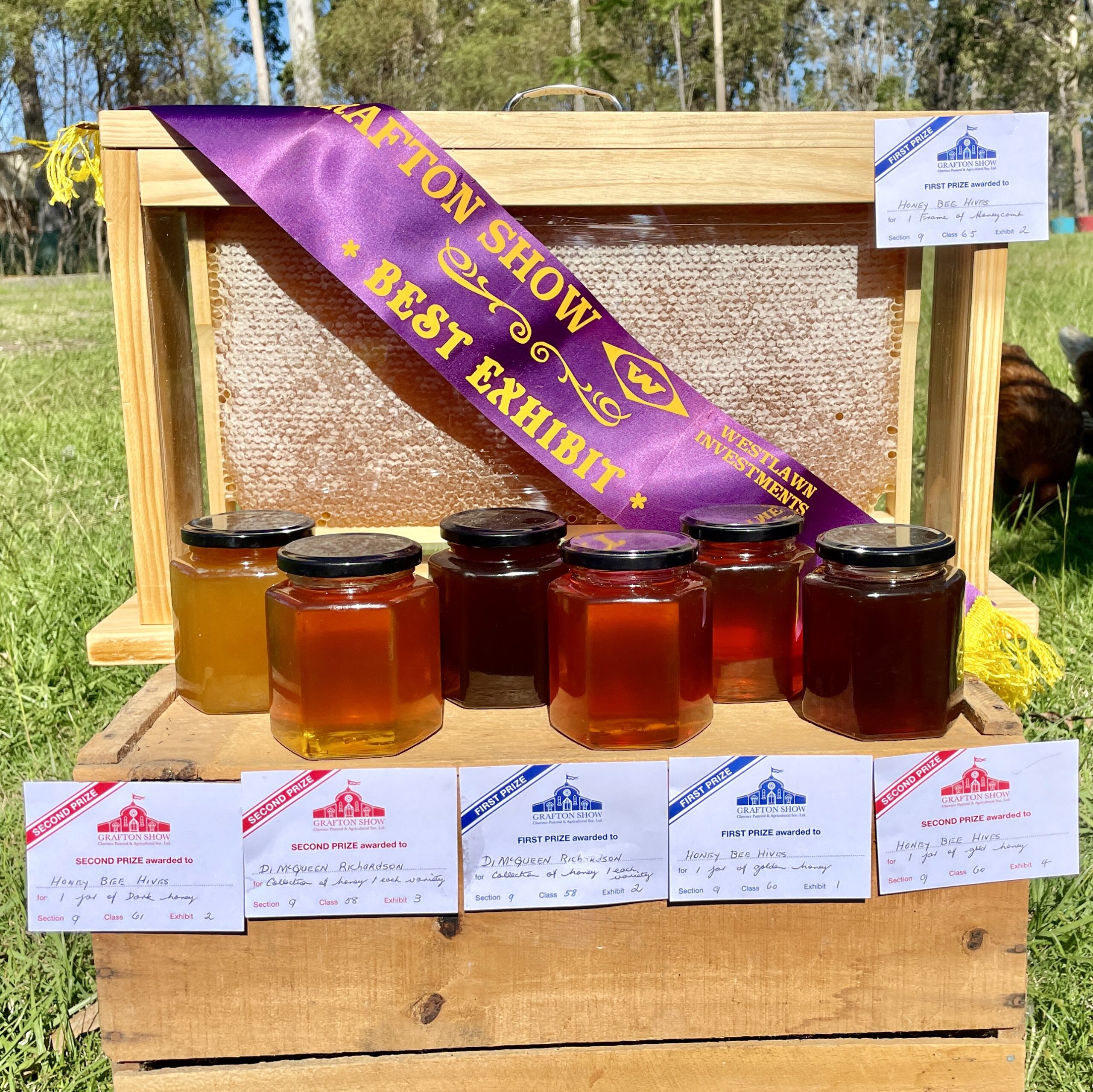 HoneyBee Hives honey and honeycomb display with Grafton Show Best Exhibit ribbon and prize cards.